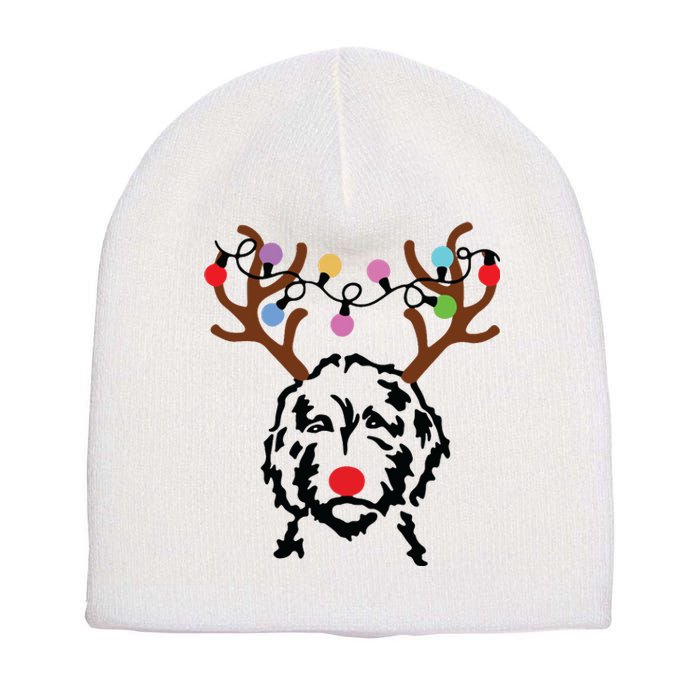 Doodle Reindeer Christmas Lights Funny Doodle Lover Xmas Short Acrylic Beanie