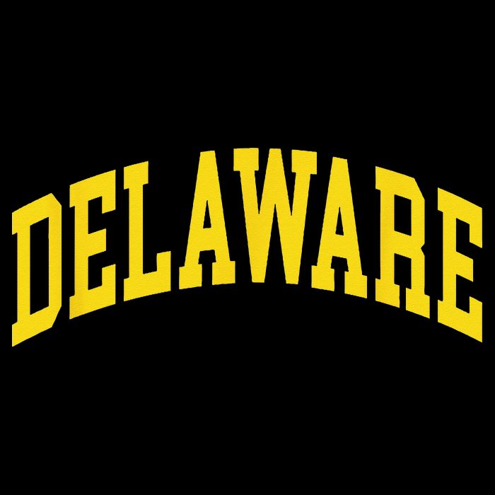 Delaware Retro DE Vintage Throwback Hoodie