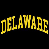 Delaware Retro DE Vintage Throwback Bucket Hat