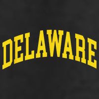 Delaware Retro DE Vintage Throwback Golf Towel