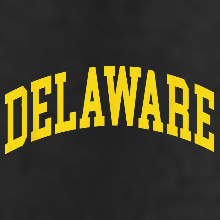 Delaware Retro DE Vintage Throwback Golf Towel