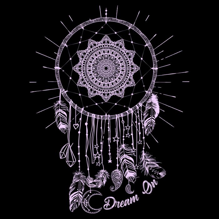 Dream On Native American Dream Catcher Poster