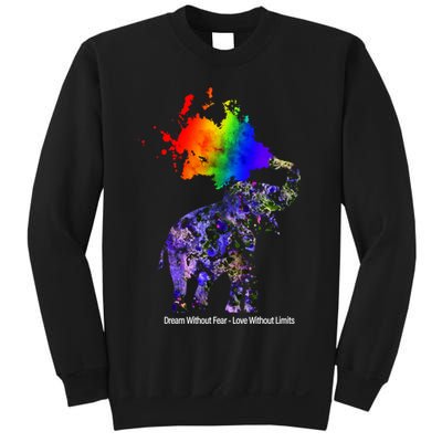 Dream Without Fear Elephant LGBT Sweatshirt
