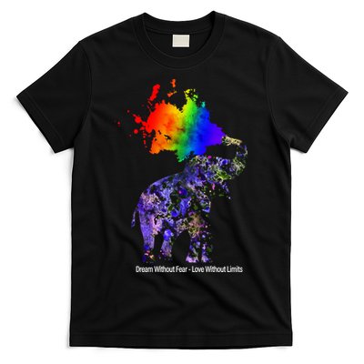 Dream Without Fear Elephant LGBT T-Shirt
