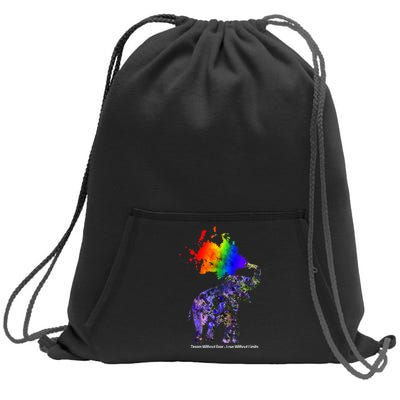 Dream Without Fear Elephant LGBT Sweatshirt Cinch Pack Bag