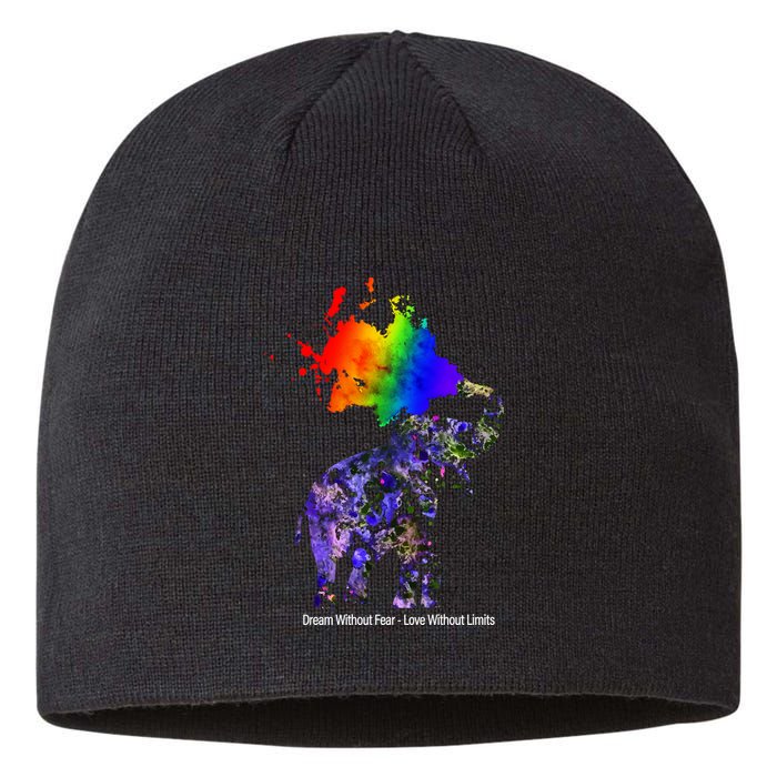 Dream Without Fear Elephant LGBT Sustainable Beanie