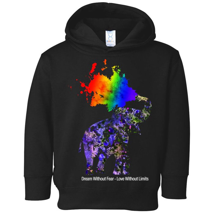 Dream Without Fear Elephant LGBT Toddler Hoodie