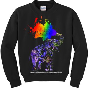 Dream Without Fear Elephant LGBT Kids Sweatshirt