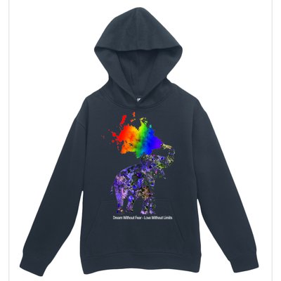 Dream Without Fear Elephant LGBT Urban Pullover Hoodie