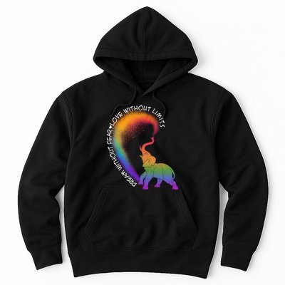 Dream Without Fear Love Without Limits LGBT Hoodie