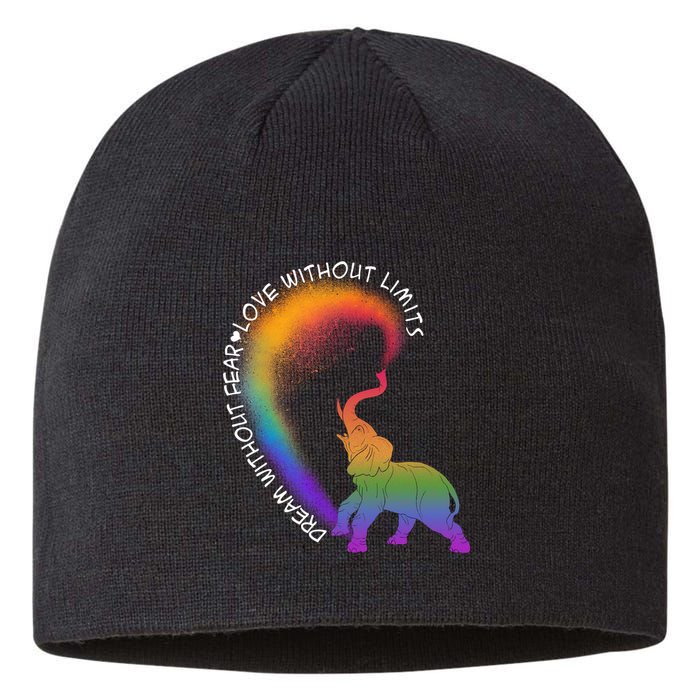 Dream Without Fear Love Without Limits LGBT Sustainable Beanie