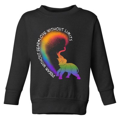 Dream Without Fear Love Without Limits LGBT Toddler Sweatshirt
