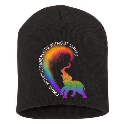 Dream Without Fear Love Without Limits LGBT Short Acrylic Beanie