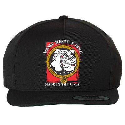 Damn Right I Bite Made In The USA Dog Wool Snapback Cap