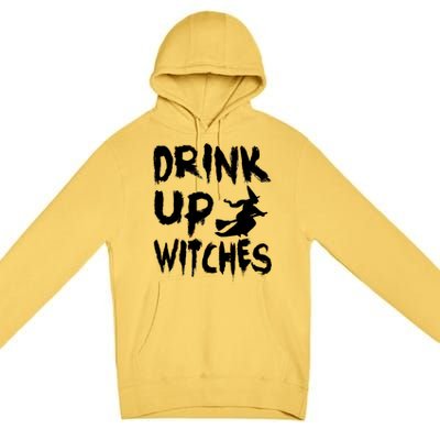 Drink Up Witches Premium Pullover Hoodie