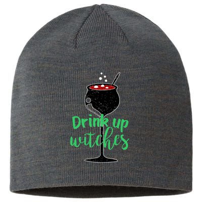 Drink Up Witches Halloween Wine Sustainable Beanie