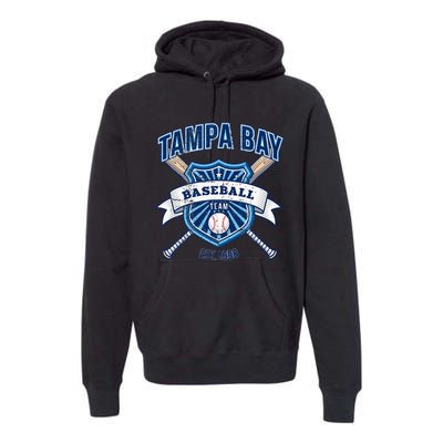 Distressed Retro Look Ray Vintage Party Tailgate Sport Gift Premium Hoodie