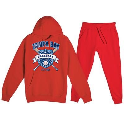 Distressed Retro Look Ray Vintage Party Tailgate Sport Gift Premium Hooded Sweatsuit Set