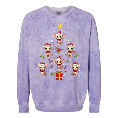 Devon Rex Merry Christmas Tree Ornat Gift Colorblast Crewneck Sweatshirt