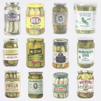 Delicious Retro Pickle Enthusiasts Flatbill Hat
