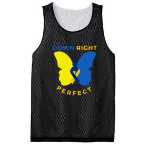 Down Right Perfect Butterfly Down Syndrome Awareness Gift Mesh Reversible Basketball Jersey Tank