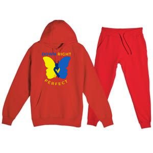 Down Right Perfect Butterfly Down Syndrome Awareness Gift Premium Hooded Sweatsuit Set