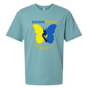 Down Right Perfect Butterfly Down Syndrome Awareness Gift Sueded Cloud Jersey T-Shirt