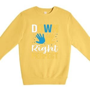 Down Right Perfect For Down Syndrome Awareness Gift Premium Crewneck Sweatshirt