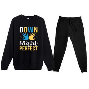 Down Right Perfect For Down Syndrome Awareness Gift Premium Crewneck Sweatsuit Set