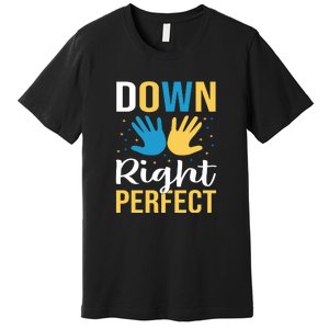 Down Right Perfect For Down Syndrome Awareness Gift Premium T-Shirt