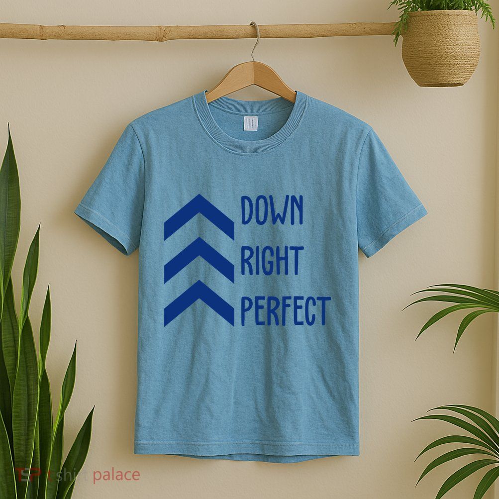 Down Right Perfect Down Syndrome Awareness T-Shirt