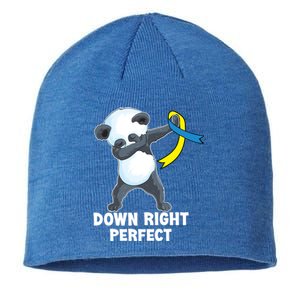 Down Right Perfect Dabbing Panda Down Syndrome Awareness Gift Sustainable Beanie