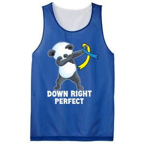 Down Right Perfect Dabbing Panda Down Syndrome Awareness Gift Mesh Reversible Basketball Jersey Tank