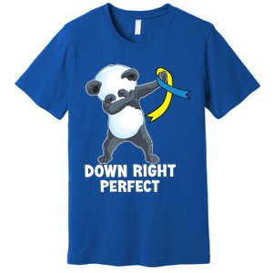 Down Right Perfect Dabbing Panda Down Syndrome Awareness Gift Premium T-Shirt