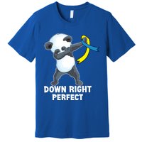 Down Right Perfect Dabbing Panda Down Syndrome Awareness Gift Premium T-Shirt