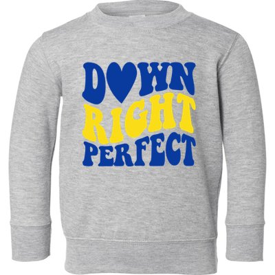 Down Right Perfect Down Syndrome Awareness Toddler Sweatshirt