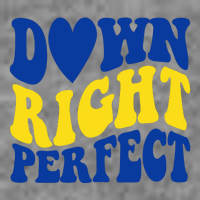 Down Right Perfect Down Syndrome Awareness Toddler T-Shirt