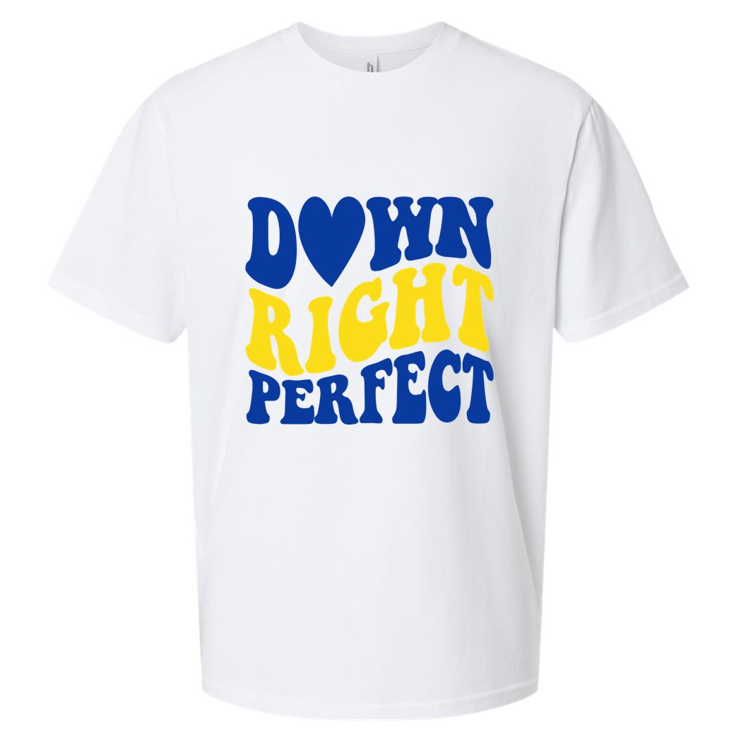 Down Right Perfect Down Syndrome Awareness Sueded Cloud Jersey T-Shirt