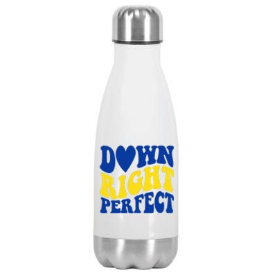 Down Right Perfect Down Syndrome Awareness Stainless Steel Insulated Water Bottle