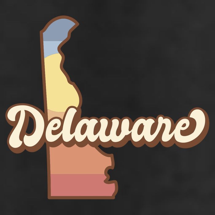 Delaware Retro Sunset Adult Drive Performance Visor