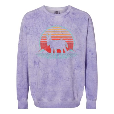 Donkey Retro Vintage 80s Style Animal Lover Colorblast Crewneck Sweatshirt