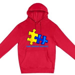 Down Syndrome 21 March Puzzle Down Syndrome Awareness Day Premium Pullover Hoodie