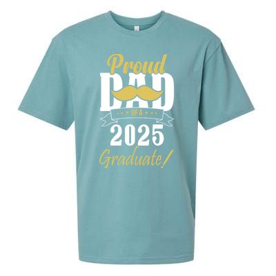 Dad Senior 2025 Proud Dad Of A Class Of 2025 Senior Graduate Gift Sueded Cloud Jersey T-Shirt