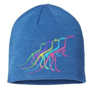 Dinosaur Skeleton 80S Colors 1980S Gift Sustainable Beanie