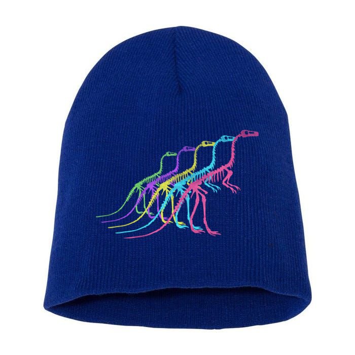 Dinosaur Skeleton 80S Colors 1980S Gift Short Acrylic Beanie