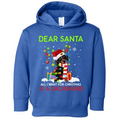 Dear Santa All I Want For Christmas Is A Dachshund Christmas Gift Toddler Hoodie