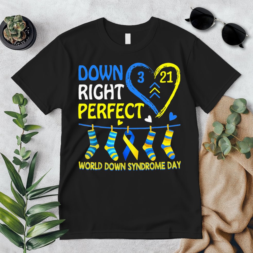 Down Syndrome Awareness Down Right Perfect Premium T-Shirt