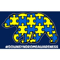 Down Syndrome Awareness Bear Bumper Sticker