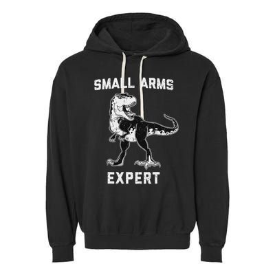 Dinosaur Small Arms Expert Garment-Dyed Fleece Hoodie