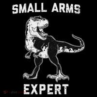 Dinosaur Small Arms Expert Ladies Essential Flowy Tank